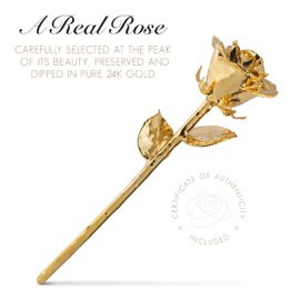 Forever Rose Bloom Box Bundle - a Genuine, One of a Kind, Real Rose Hand Dipped in Gold with Beautiful Phantom Vase and Blooming Box