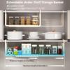 Janebert Extendable Under Shelf Storage Basket, Hanging Baskets Under Cabinet