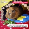 HAYPIGS Guinea Pig Toys and Accessories - Circus Themed Fleece