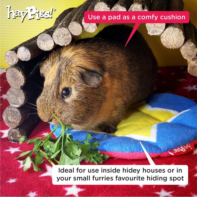 HAYPIGS Guinea Pig Toys and Accessories - Circus Themed Fleece