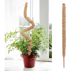Genérico Tutores para Plantas, Soporte para Plantas Coco, Varilla Flexible para Musgo, Tutor para Plantas Trepadoras para Apoyar Plantass Trepadoras Monstera, Enredaderas, Jardín, Patio