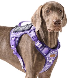 Tactical Dog Harness X-Large No Pull Easy Walker,Escape Proof Harness Vest with Handle, Reflective Vest with 2 Leash Clips and 3 Buckles, Newfoundland Alaska German Shepherd Mastiffs, XL