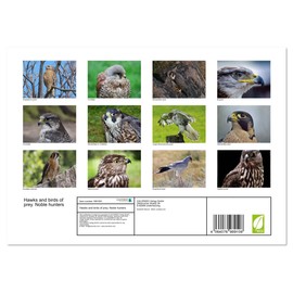 Hawks and birds of prey. Noble hunters (Monthly Wall Calendar 2025 11.7" x 16.5" (open)), CALVENDO 14 Month Calendar