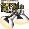 ReptiKing 100W Reptile Heat Lamp Bulbs, 2 Value Pack, Daylight