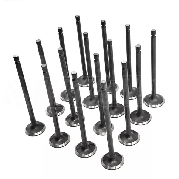 Mid Valley Intake and Exhaust Valve For Mitsubishi Lancer 2.0L