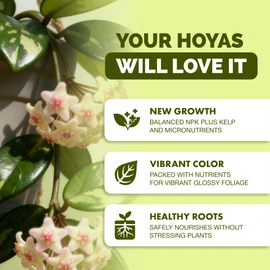 Hoya Fertilizer, Complete Liquid Hoya Plant Food, 8 oz (250mL)