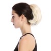 WIG ME UP - N869-V-613 Ponytail Braid Short Straight Light