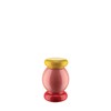 Alessi Totem Domestici ES18 2 - Design Salt, Pepper and