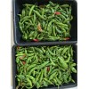American Seed Hatch Sandia Chili Pepper Seeds, NuMex, Hot Green