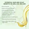 Aceite Esencial Amla Piel + Suave Cabello Y Pestañas Fuertes
