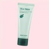 Paparecipe 파파레서피 티트리 컨트롤 머드 크림 마스크 100ml 1개입 1개 4676974 Papare listings Tea Tree Control Mud Cream Mask 100ml [[Authenticity Guaranteed] 1 piece x 1 piece 4676974]