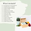 Absolute Aromas Essential Oils Wooden 12 Hole Storage Box Set