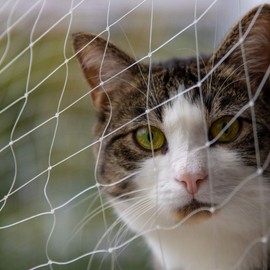 Pet Prime Cat Net for Balcony, 2 x 1.5 m, Balcony Protection Net, Cat Protection Net for Outdoor Balcony, Stairwell, Window Door, Pets, Invisible Variety Size Provided - XS