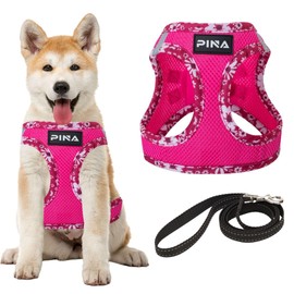 PINA Dog Harness for Small Dogs No Pull, Small Dog Harness and Leash Set, No Choke Breathable Mesh Dog Vest Harness, Lightweight Adjustable Small Medium Dog Harness - Easy to Put On and Take Off
