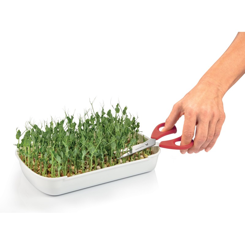 Tescoma 899098 Sprouting Bucket, Two Bowls with Grid and Sprout