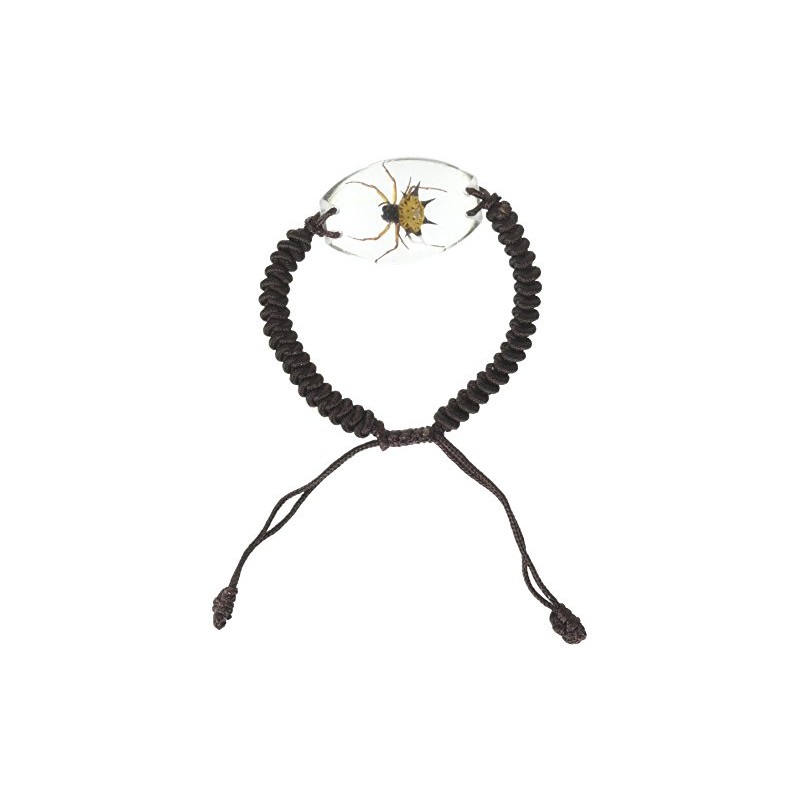 REALBUG Spiny Spider Bracelet, Clear, 10 inches