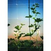 Tenax 100522964 Hortonova Plant Trellis Net White 48inx16ft