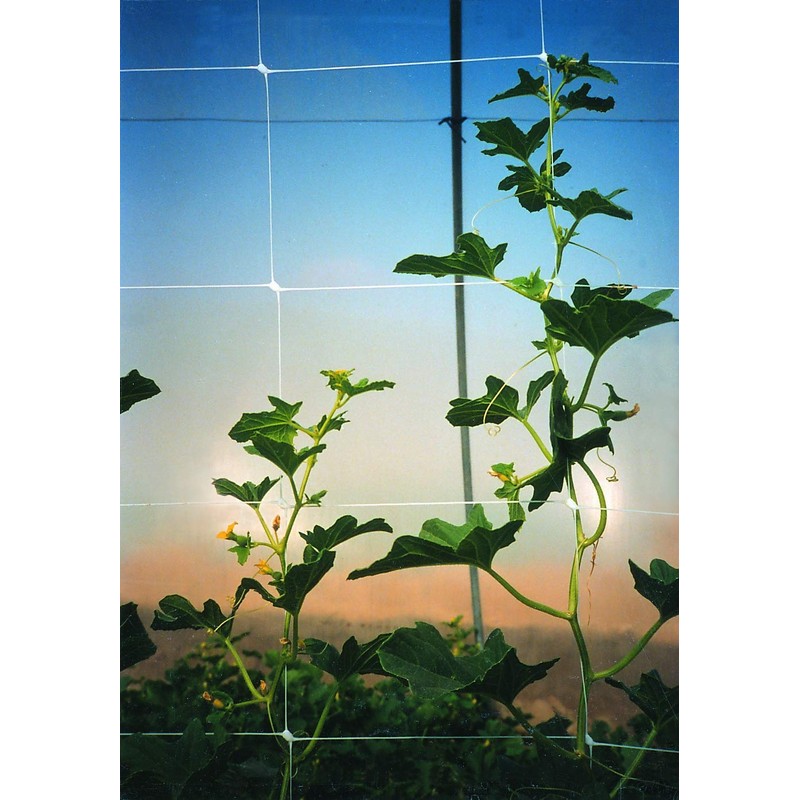 Tenax 100522964 Hortonova Plant Trellis Net White 48inx16ft