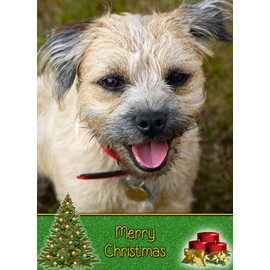 Border Terrier Dog Christmas Card 'Merry Christmas' - Special Animal Xmas Card for Him Her from Pets Kids
