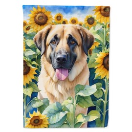 Caroline's Treasures DAC6012CHF Anatolian Shepherd in Sunflowers House Flag Large Porch Sleeve Pole Decorative Outside Yard Banner Artwork Wall Hanging, Polyester, House Size, Multicolor