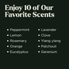 Essential Oils Set - Top 10 Gift Set Blends for