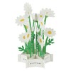 GreetingLife Birthday Blooming Card Margaret KE-32