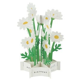 GreetingLife Birthday Blooming Card Margaret KE-32