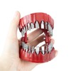 Denture Drill Bit Holder, Bit Organizer Denture Model Holds Up