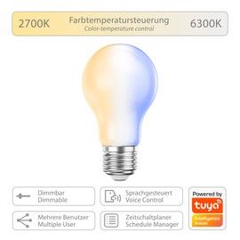 ledscom.de LELE Clamp Light with Gooseneck Black + E27 LED Lamp 918 lm Smart Home Warm White Cool White