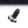 PIT66 Door Hinge Screw Kit Compatible with Ford Pickup Truck