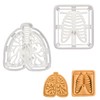 Set of 2 Respiratory Themed Cookie Cutters (Designs: Lungs and