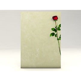 Rote Rose, 100 Blatt Motivpapier 90g/qm