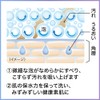 Biore u The Body Liquid Type, Pure Sabon Scent, Pump,
