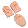 3D Nose and Mouth Model Silicone Ear Model Simulation Display