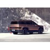 BLINGLIGHTS Brand Tinted Taillight Film Covers Compatible with 2024 2025