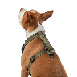 KONG Max Ultra Durable Neoprene Padded Chest Plate Dog Harness Offered by The Barker Company (Green, Large)