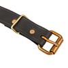 Black Leather Trunk Strap with Brass Plated Buckle | Furniture