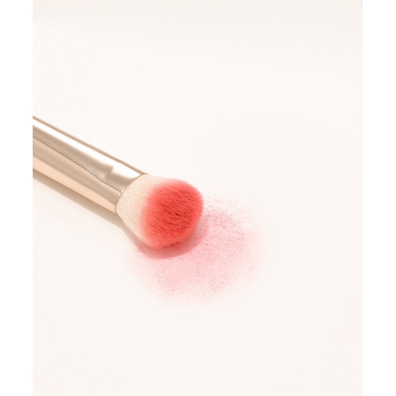 The Tool Lab 156 Small Cheek and Blending Brush