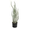 Creative Co-Op Faux Euphorbia Plant in Plastic Pot with Pebbles,