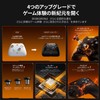 BIGBIG WON Gale Hall ゲームコントローラー、カスタムボタン、マクロ、ターボ、Switch/PC用デュアルショックコントローラー (Standard Black)