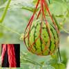 Pack 10 Melon Hammock Watermelon Nets,Melon Hammock for Trellis Heavy