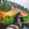 Raprance Pre-Tied Loop Tapered Leader Fly Fishing Leader 6 Pack,