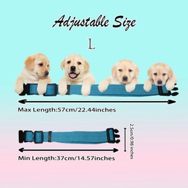 Benixmidart Nylon Dog Collar, Adjustable Collar For Dogs with Buckle& Leash Attachment Ring, Pet Collar for Small Medium Large Dogs (L)