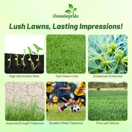 Outsidepride Fireball & Hattrick Rye Grass Seed Blend - 5 Lbs. Wear Tolerant, Fine Leaf Texture Perennial Rye Grass Seeds for Lawn, Sports Turf & More, OptiGrowth Coated for Better Establishment