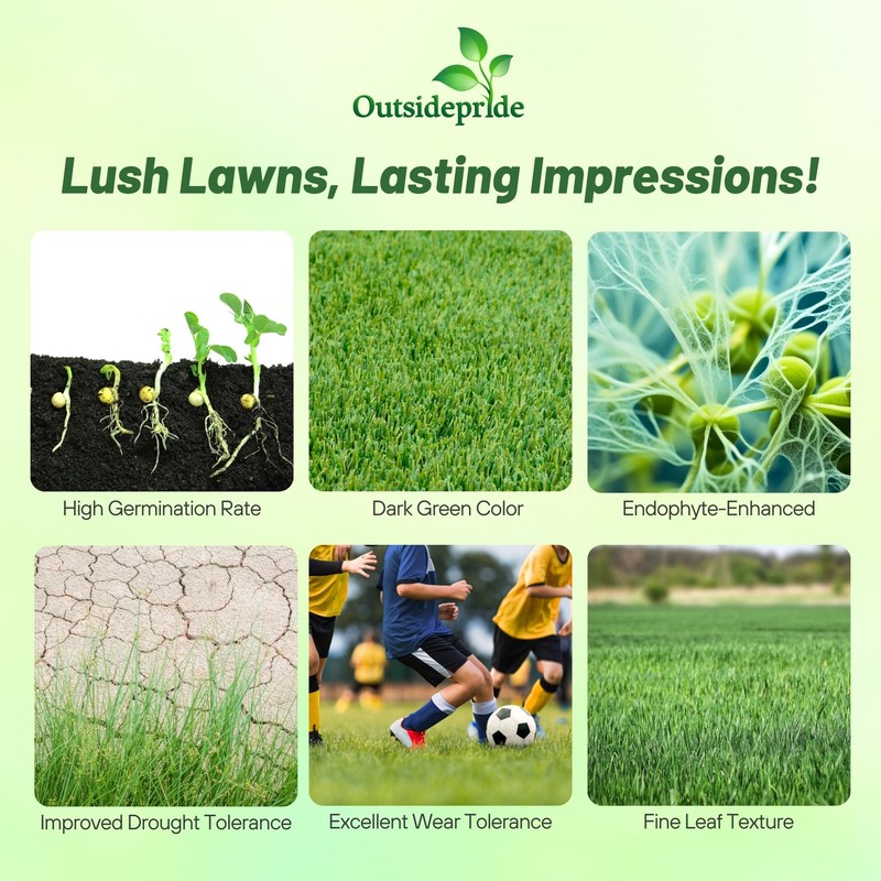 Outsidepride Fireball & Hattrick Rye Grass Seed Blend - 5