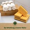 PROTEA Sustainable Dish Sponge Coconut Scrubber (Set of 2) -