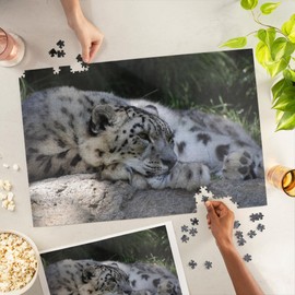 Lantern Press 1000 Piece Jigsaw Puzzle, Snow Leopard