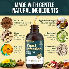 WAGSOLOGY Yeast Infection Treatment for Dogs Drops (7 in 1 Formula) Soothes Itchy & Irritated Skin, Improves Skin and Coat, Dog Yeast Infection Treatment & Anti Yeast Drops for Dogs