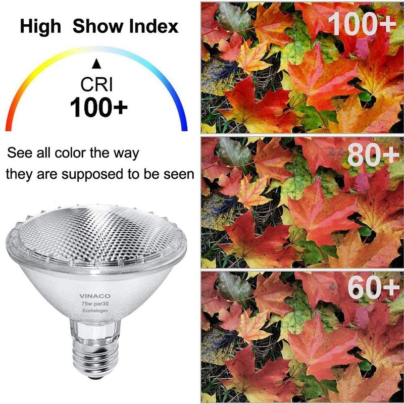 Vinaco Par30 Short Neck, 6pcs PAR30 75W 120V Light Bulbs,