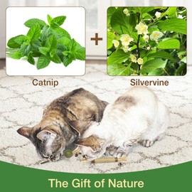 SCHITEC Catnip Toys 4 Pack Silvervine Chew Stick for Indoor Cats, Natural Cat nips Interactive Kitten Teething Dental Toy